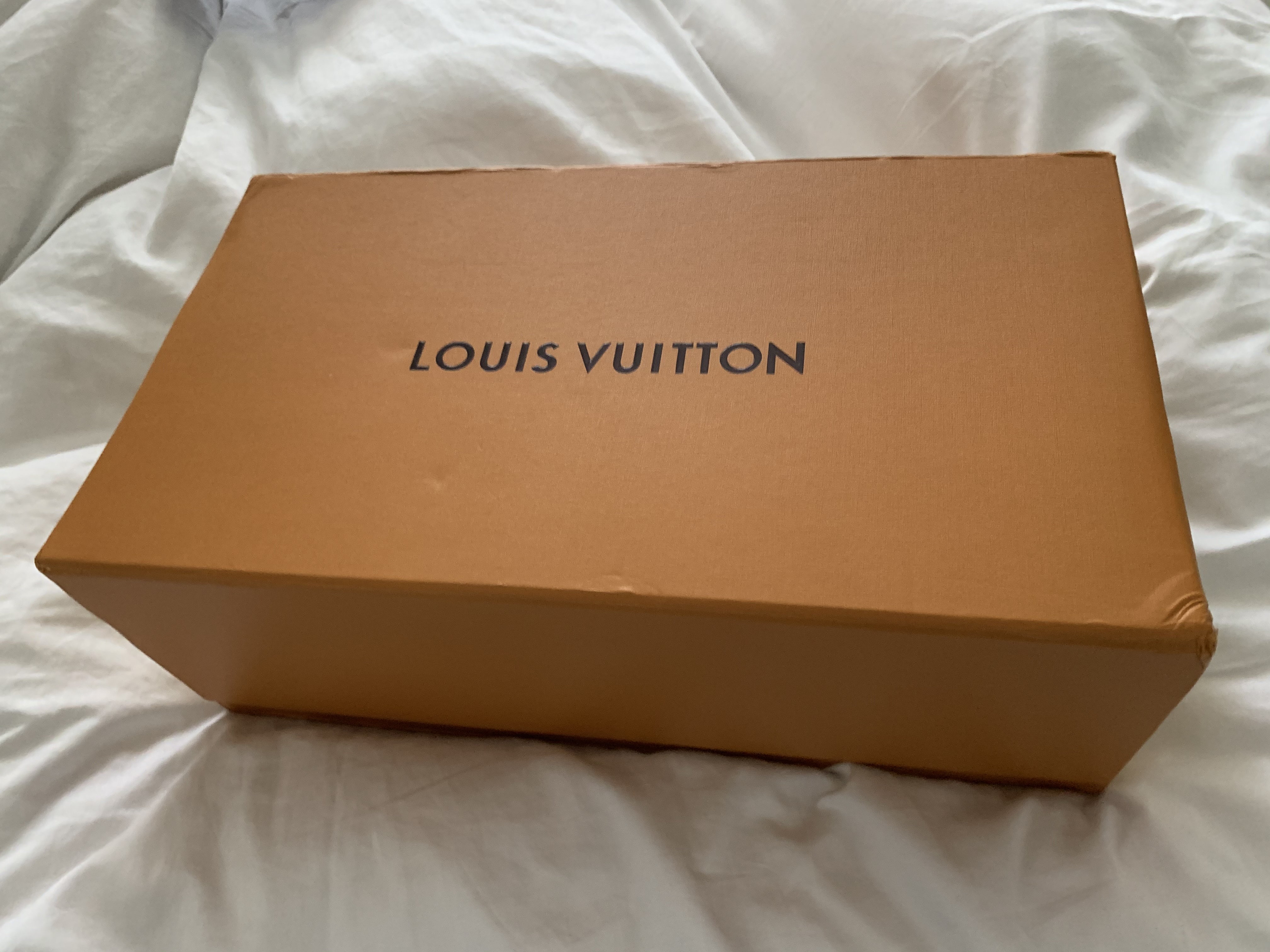 UNBOXING A $1,000 MYSTERY BOX! I got a Louis Vuitton bag 